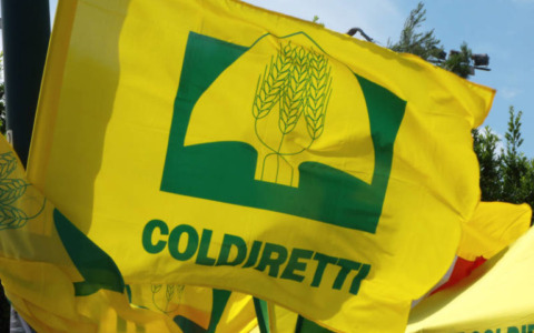 Coldiretti: Oscar Green a Massa, premiate cinque imprese under 35