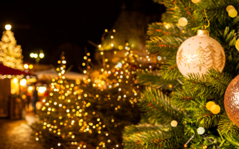 Gli alberi dei bambini illuminano Massa durante le festività