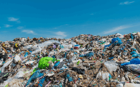 Massa Carrara in allerta per l’ecomafia: crescita dei reati ambientali