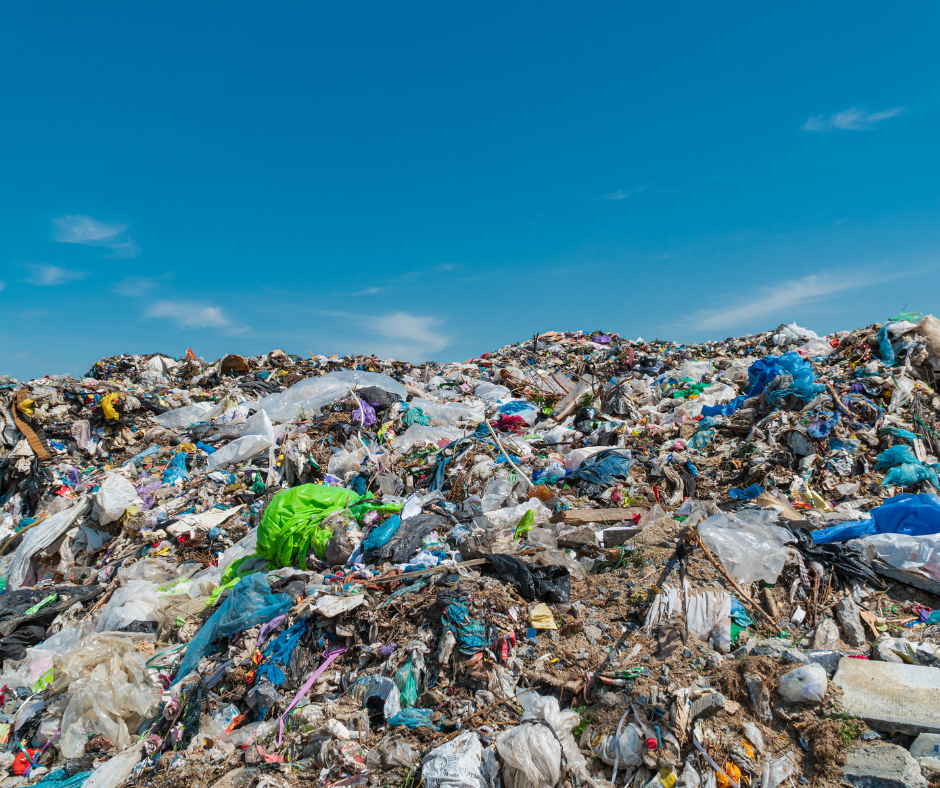 Massa Carrara in allerta per l’ecomafia: crescita dei reati ambientali